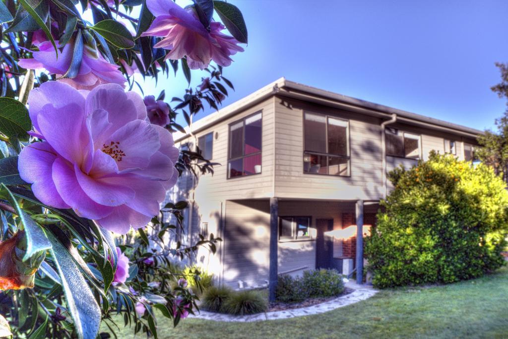 Cove Beach Apartment 2 Coles Bay Bagian luar foto